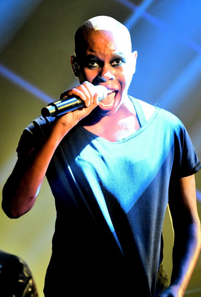 skunk anansie