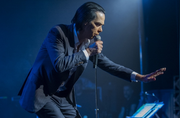 nick cave