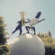 angine de poitrine tour news