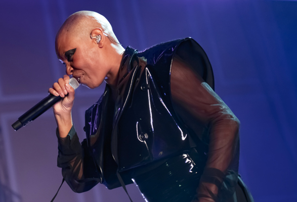 Skunk Anansie