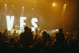 The Hives