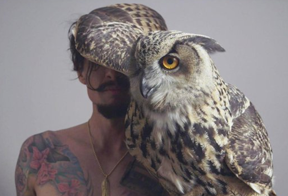 justin hawkins