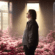 lewis capaldi