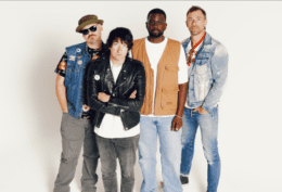 plain white t's