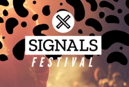 signals festival