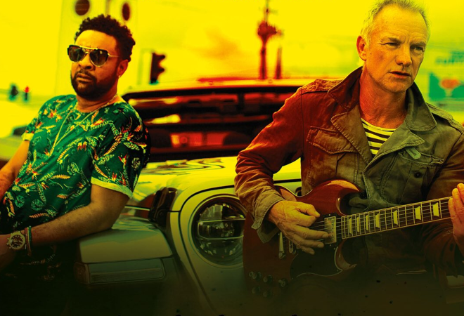 sting and shaggy