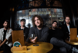 the pigeon detectives