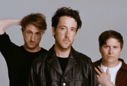 the wombats